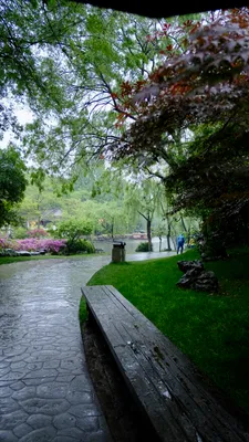DSCF0136.JPG