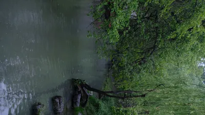 DSCF0161.JPG