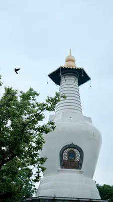 DSCF0189.JPG